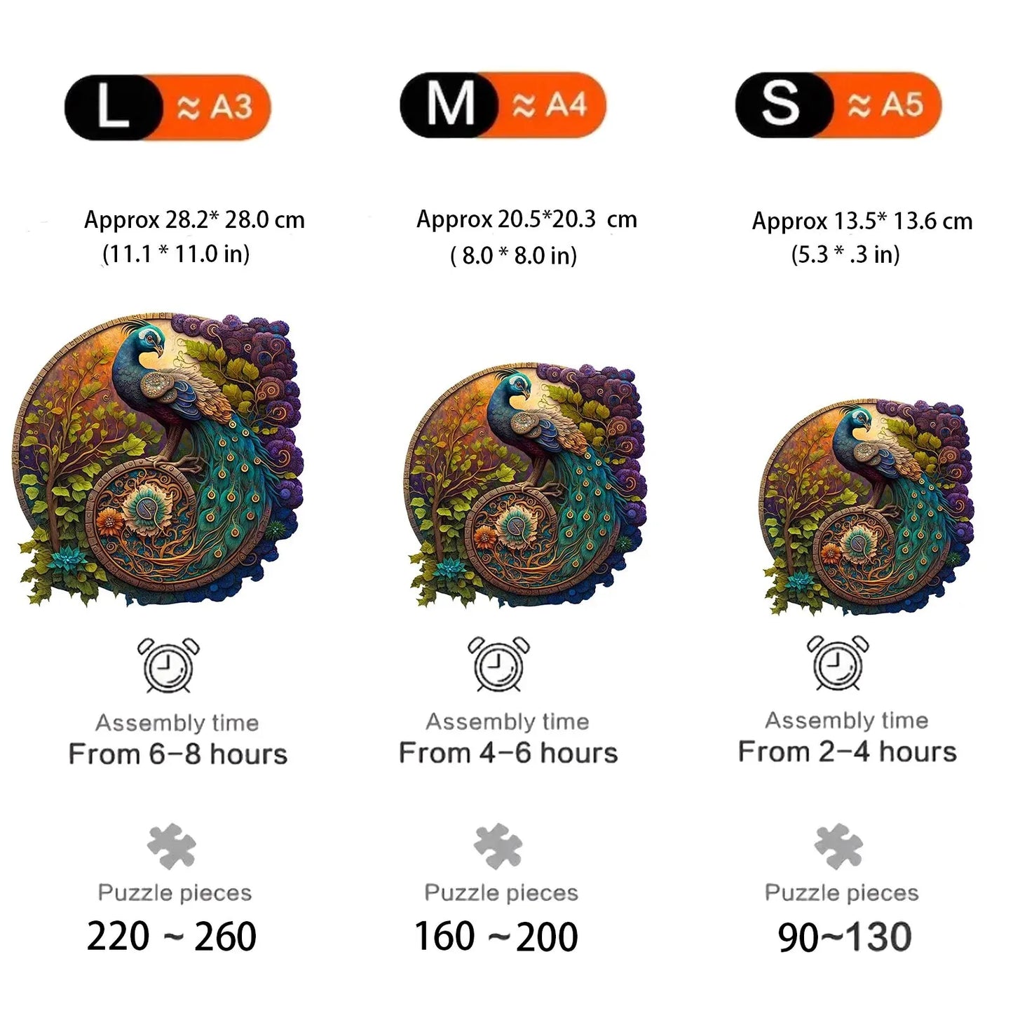 Paon rond dans la forêt