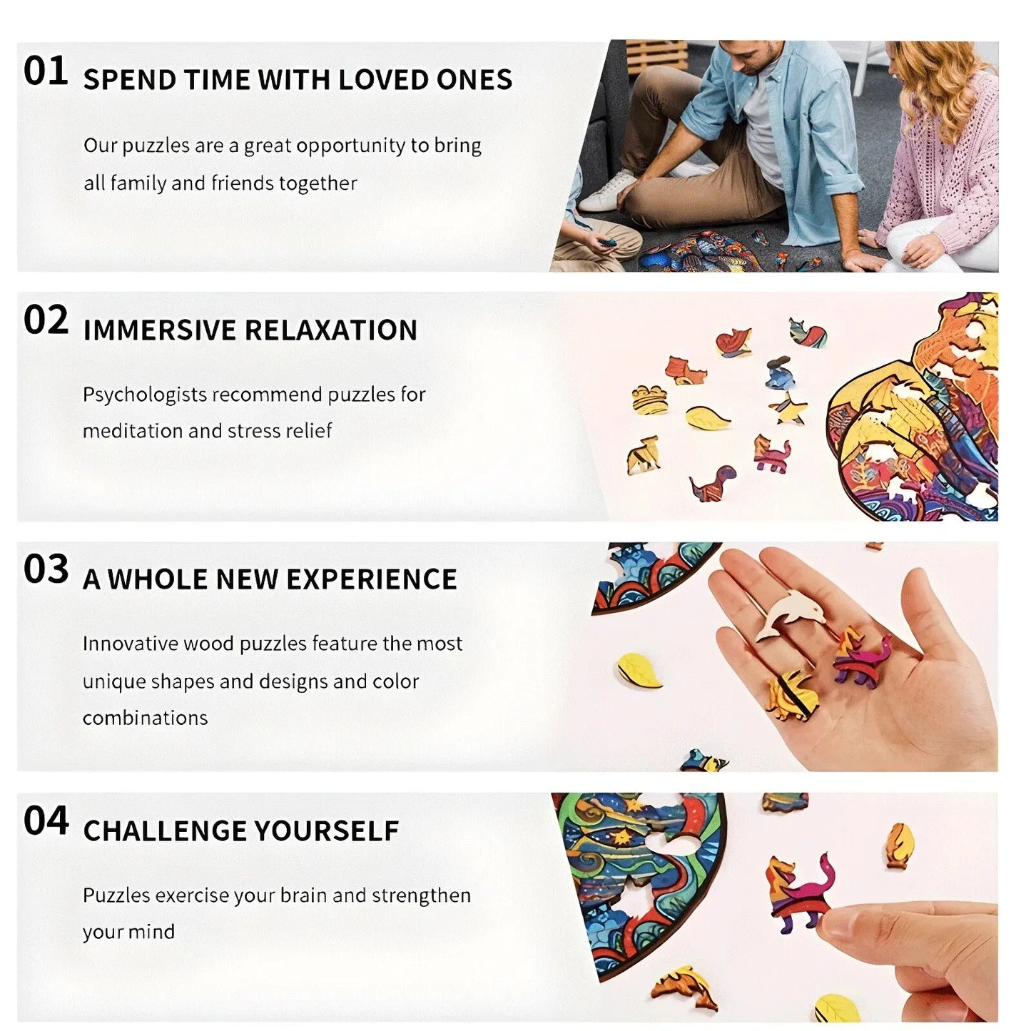 Paon rond dans la forêt